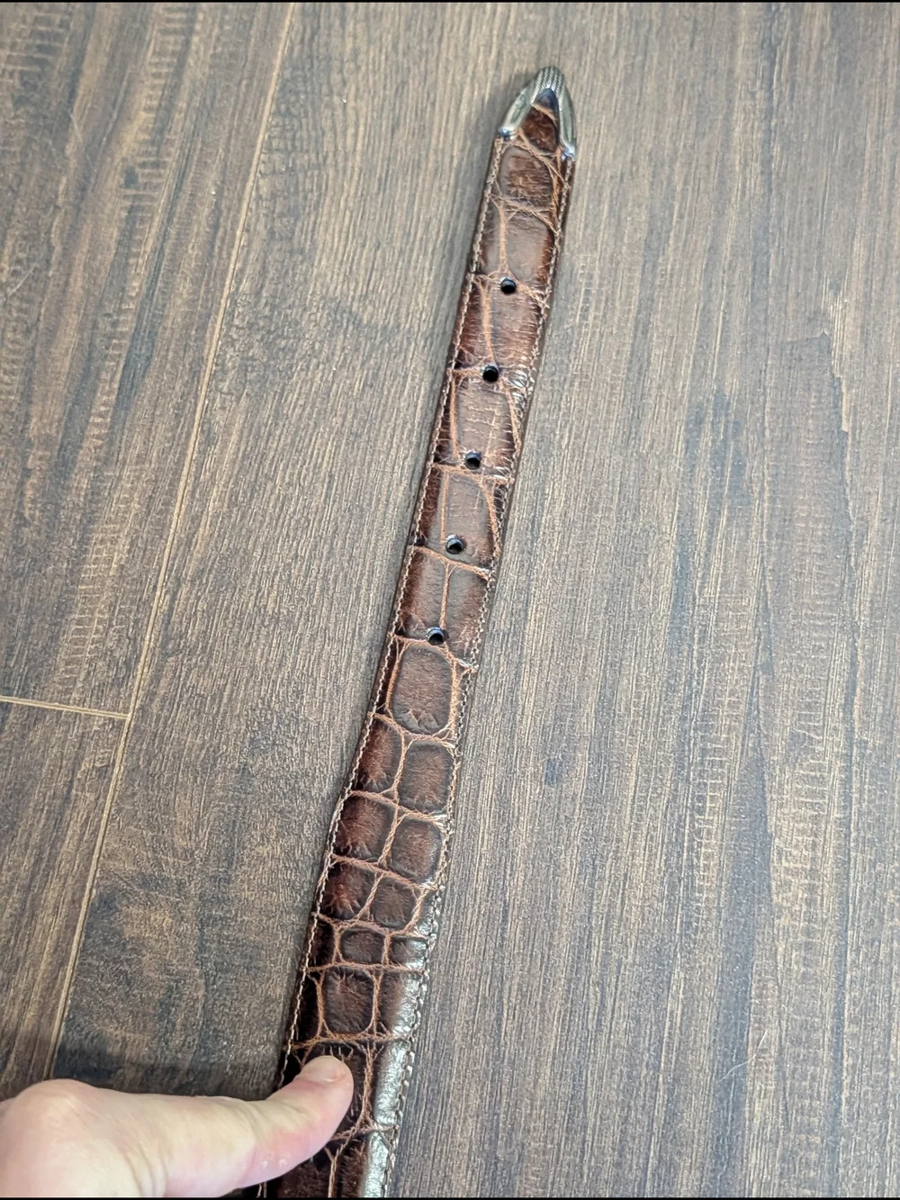 Onyx by Brighton Brown Alligator Leather Belt with Silver Buckle, Keeper And Tip